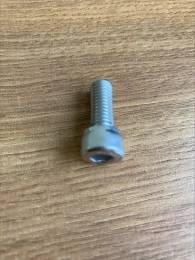 Modulio laikiklio varžtas  A2 M8x20 mm (1 vnt.)